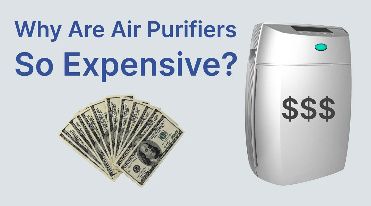 Why-are-air-purifiers-so-expensive (1).jpg