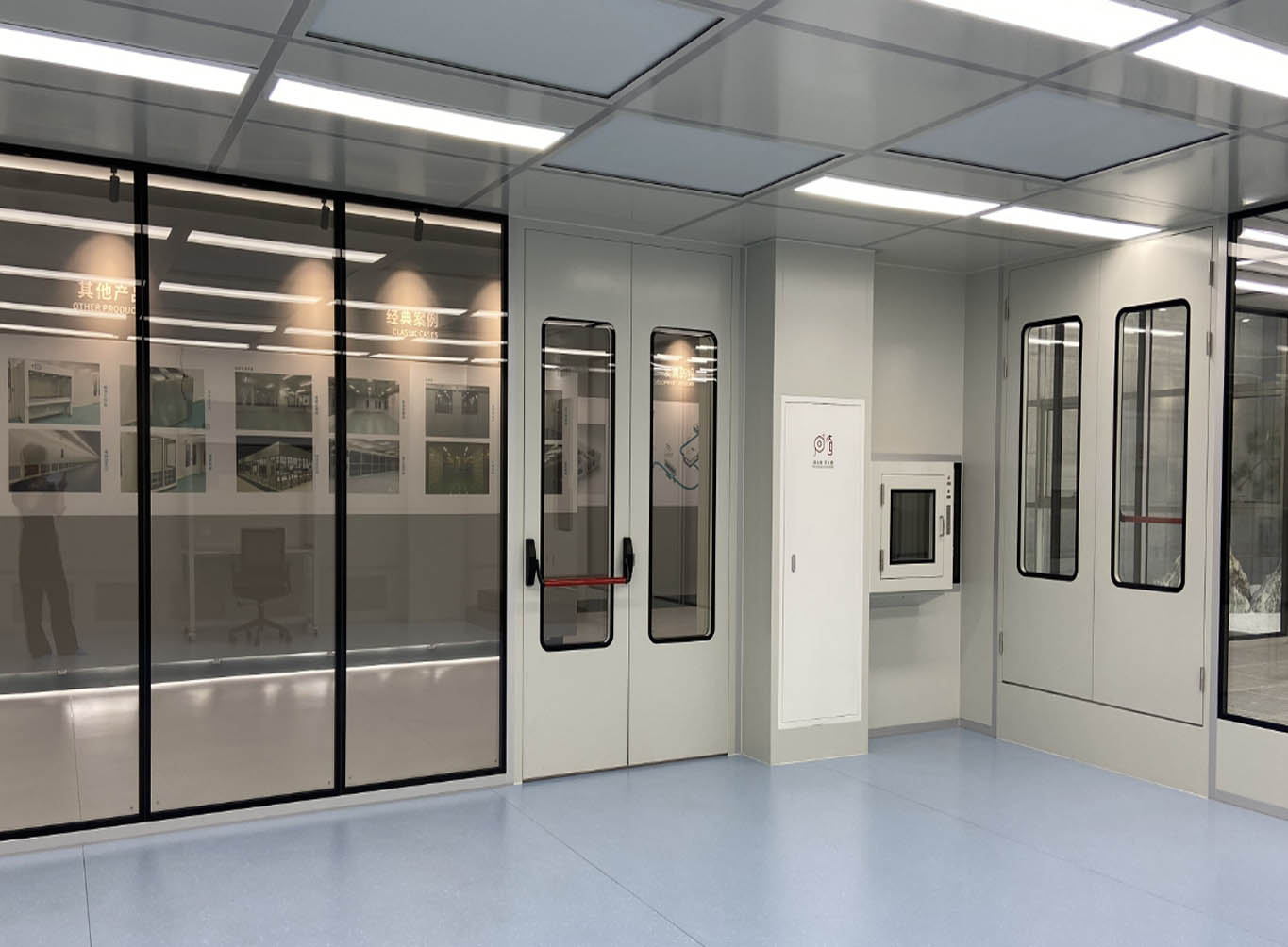 Cleanroom doors and windows