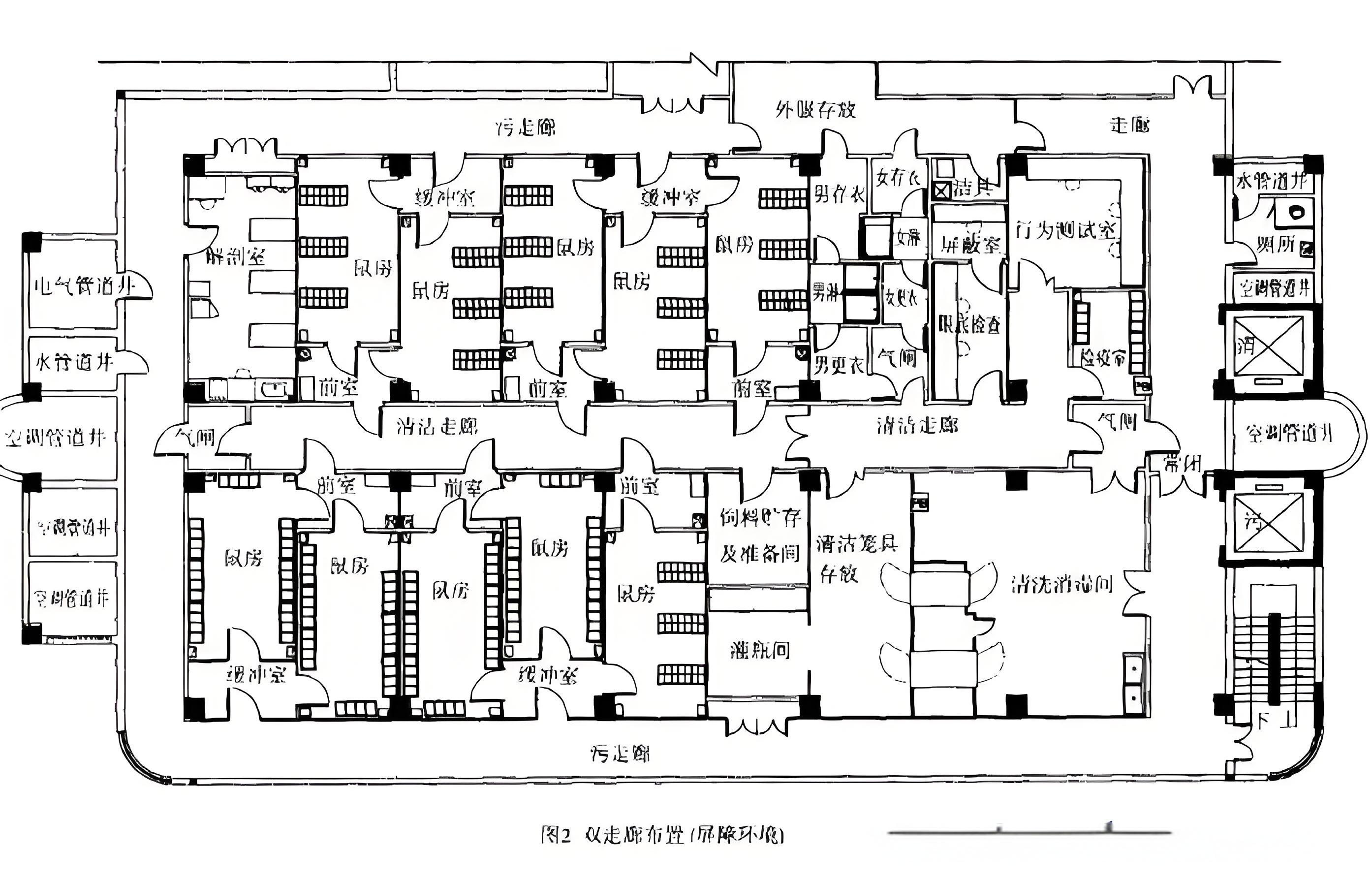 SPF实验室功能区布局示意图